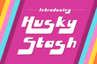 Husky Stash: A Greasy Funk Font for Bold Branding Projects